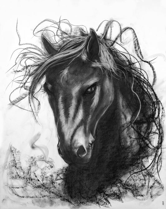 STALLION ORIGINAL